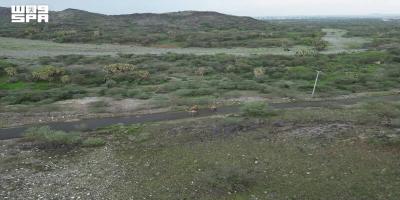 Wadi Qura Highlights Jazan’s Rural Tourism and Mountain Scenery